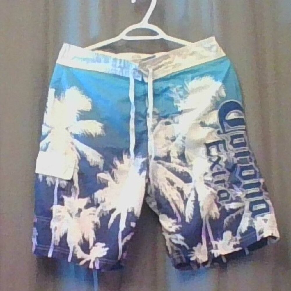 Corona Board Shorts
